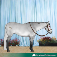 Horse Color:Silver Bay Chinchilla 