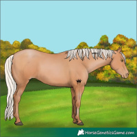 Horse Color:Silver Bay Pearl 