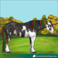 Horse Color:Painted Liver Chestnut Sabino 