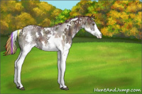 Horse Color:Painted Nacre Chestnut Ice Splash Tobiano 