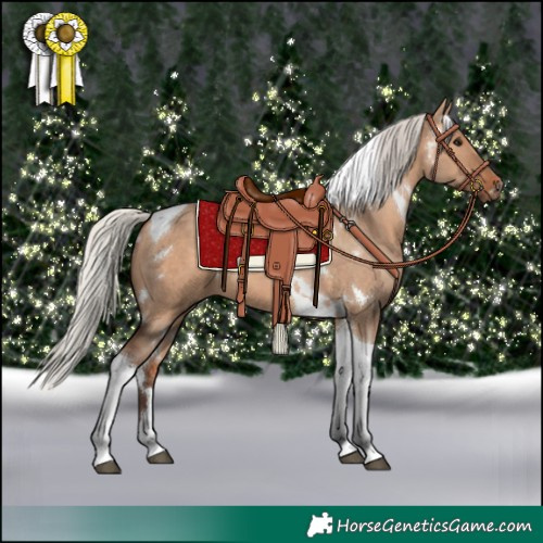 Horse Color:White Spotted Silver Bay Dun Tobiano 