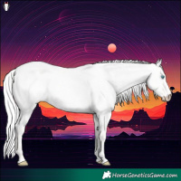 Horse Color:Cremello Roan Dun 