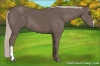 Horse Color:Silver Black 