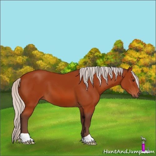 Horse Color:Silver Brown 