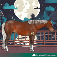 Horse Color:Silver Brown Tobiano 