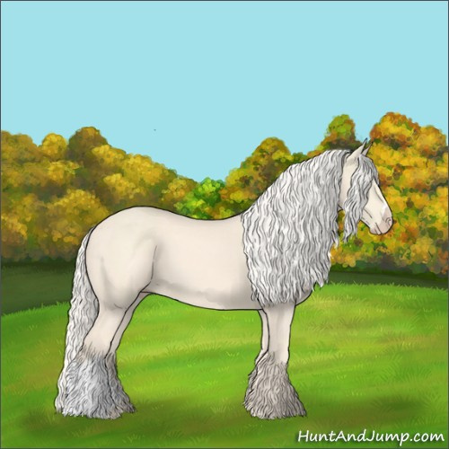 Horse Color:Cremello 