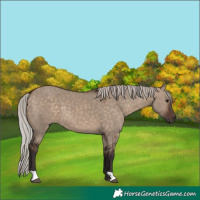 Horse Color:Silver Brown Dun 