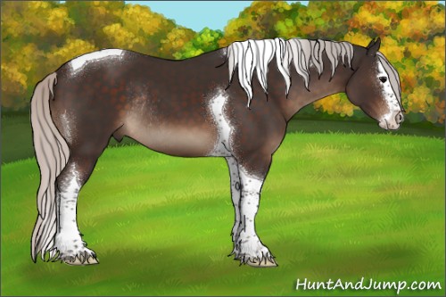 Horse Color:Silver Brown Sabino Splash Tobiano Rabicano 