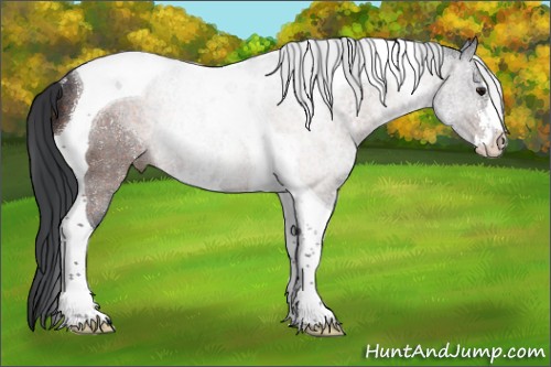 Horse Color:Brown Sabino Tobiano Rabicano 