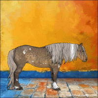 Horse Color:White Spotted Silver Smoky Grullo Tobiano 