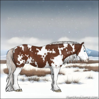 Horse Color:White Spotted Silver Brown Splash 