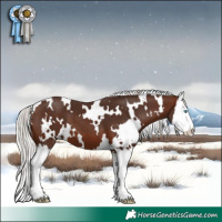 Horse Color:White Spotted Silver Brown Splash