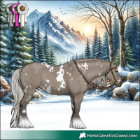 Horse Color:White Spotted Silver Grullo Rabicano
