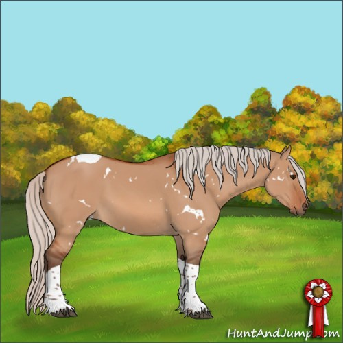 Horse Color:White Spotted Silver Brown Dun Tobiano 