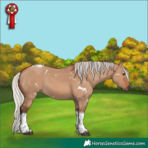 Horse Color:White Spotted Silver Brown Dun Tobiano 