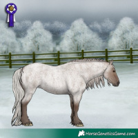 Horse Color:Silver Grullo Roan Rabicano 