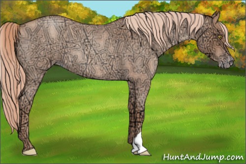 Horse Color:Gold Champagne Ice Roan 