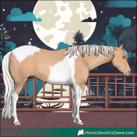 Horse Color:Silver Sable Champagne Tobiano 