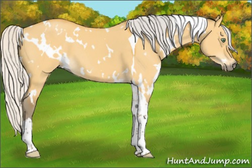 Horse Color:White Spotted Silver Buckskin Dun Tobiano 