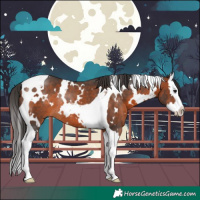 Horse Color:White Spotted Brown Splash Tobiano Rabicano 
