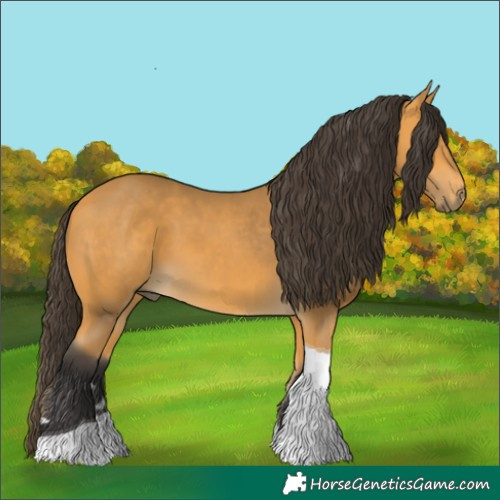 Horse Color:Buckskin Tobiano 