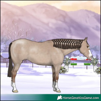 Horse Color:Classic Champagne Dun 