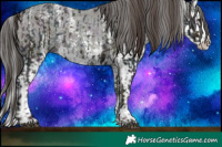 Horse Color:Midnight Liver Chestnut Ice Sabino Splash Varnish  and Midnight Liver Red Dun Ice Sabino Splash Varnish 