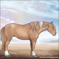 Horse Color:Gold Champagne Tobiano 