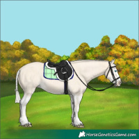 Horse Color:Cremello Splash and Cremello Dun Splash