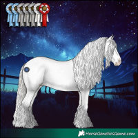Horse Color:Silver Grullo Roan Splash Varnish 