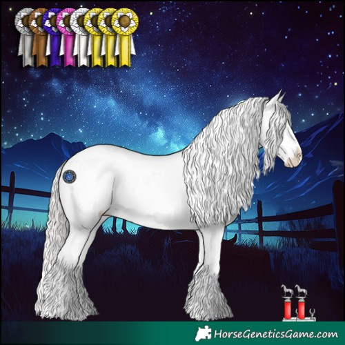 Horse Color:Silver Blue Roan Splash Appaloosa 