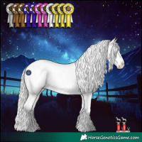 Horse Color:Silver Blue Roan Splash Appaloosa