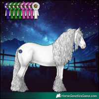 Horse Color:Silver Grullo Roan Splash Varnish 