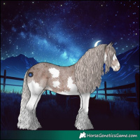 Horse Color:Silver Blue Roan Splash 