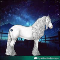 Horse Color:Silver Grullo Roan Splash Varnish 