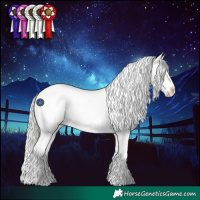 Horse Color:Silver Grullo Roan Splash Appaloosa 