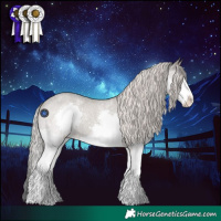 Horse Color:Silver Grullo Roan Splash Appaloosa