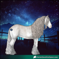 Horse Color:Silver Grullo Roan Splash