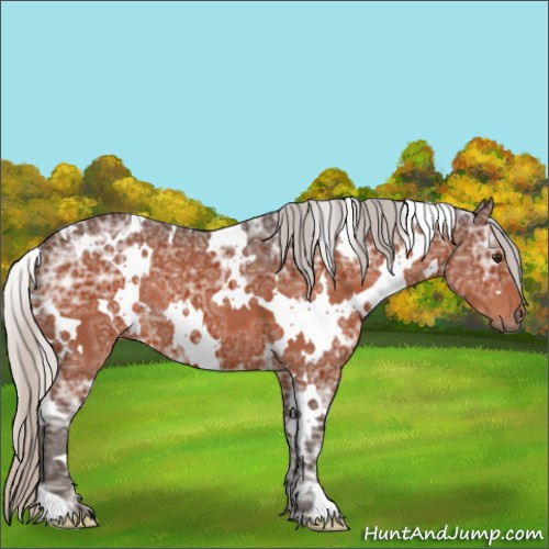 Horse Color:White Spotted Silver Brown Ice 