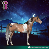 Horse Color:White Spotted Sable Champagne Tobiano Rabicano