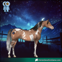 Horse Color:White Spotted Sable Champagne Tobiano Rabicano 