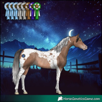 Horse Color:Sable Champagne Tobiano Rabicano