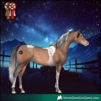 Horse Color:Sable Champagne Tobiano Rabicano