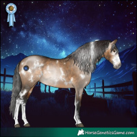 Horse Color:Gray White Spotted Bay Dun Sabino 