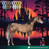 Horse Color:White Spotted Sable Champagne Tobiano Rabicano