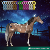 Horse Color:White Spotted Sable Champagne Tobiano Rabicano