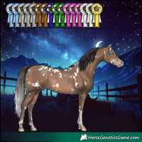 Horse Color:White Spotted Sable Champagne Tobiano Rabicano 
