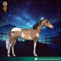 Horse Color:White Spotted Sable Champagne Tobiano Rabicano