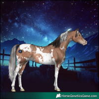 Horse Color:White Spotted Sable Champagne Tobiano Rabicano 