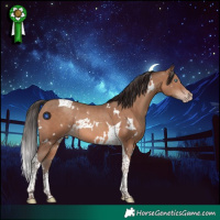 Horse Color:White Spotted Sable Champagne Tobiano Rabicano